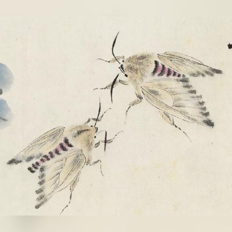 (可动纸片人怎么画)惊人创意！可动纸片人惊艳自绘出的绝美画作