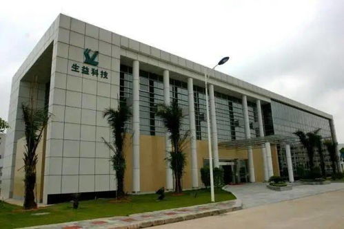 (晶核科技有限公司)晶核是哪个公司的？科技巨头背后的隐秘之名揭晓