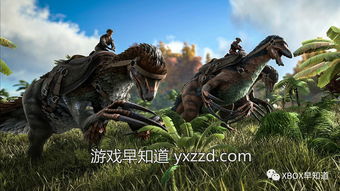 探索方舟毛毛虫的神秘世界：解密这一独特生物的生活习性与生态价值