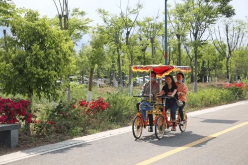 (带你探索快乐星球)探索快乐星球游戏：畅游宇宙的快乐之旅
