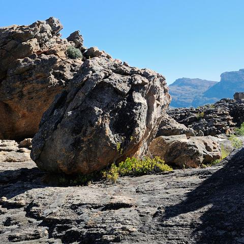 (寻找龙的踪迹)寻找龙之宝藏在哪玩？畅游神秘宝藏之地，发现惊喜探秘之旅