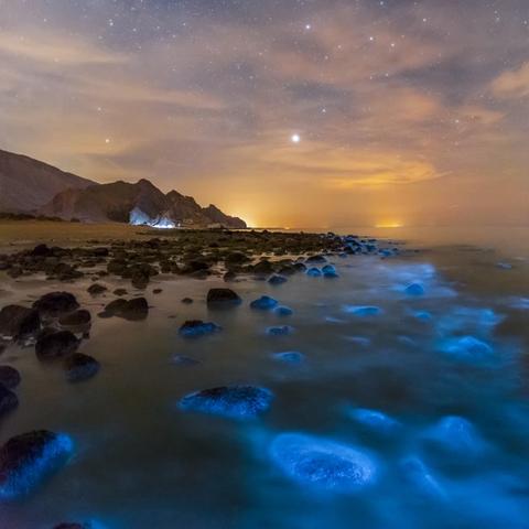 如何解锁遗忘仙境中的关卡？步骤详细，让你轻松畅游真正的仙境！