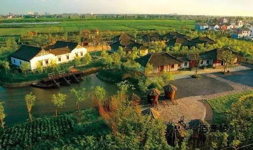 在广袤的田野中体验田园生活：我要来种田游戏带你走进农业的魅力世界