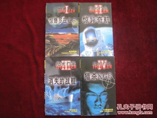 (神秘代号名字大全)神秘的代号d机关小说：解密秘密组织的惊天阴谋与刺激冒险