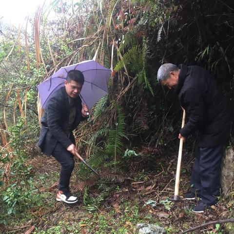 守墓人笔记制作全攻略：从素材采集、创作构思到传世技艺，如何精益求精锤炼自己的坟墓守护者笔记