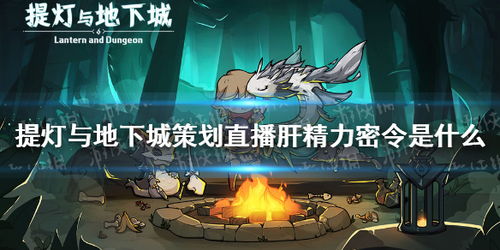 (提灯与地下城密令知乎)提灯与地下城密令大全：探秘地下迷宫的无尽宝藏和挑战