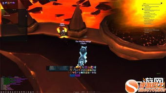 (皮皮虾在哪抓)详细攻略：怎样获得wow皮皮虾坐骑？必备条件及获取方法一网打尽