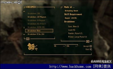 (辐射新维加斯找到辐射源头)辐射新维加斯攻略2：探索废土，击败敌人，开启未来之门