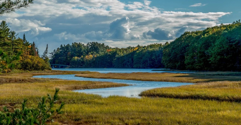 (阿卡迪亚旅游攻略)探索大自然之美：阿卡迪亚国家公园的壮丽景色和丰富生态体验
