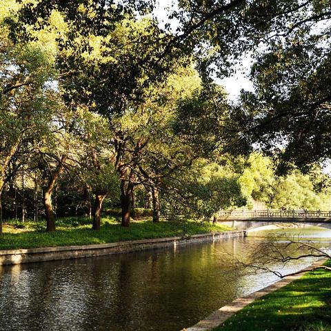 重磅消息：备受期待的《代号隐》将何时公测？揭秘该游戏开发进展及预计测试时间