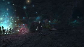 (夏日幻象乐队)夏日幻象：炎炎夏日中的美丽幻境，让心灵在梦幻中徜徉