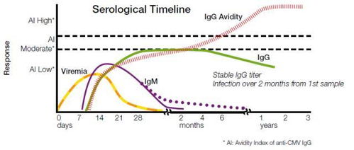 如何判断火环塞的更换周期？推荐多久更换一次火环塞以确保最佳性能