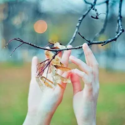 探索精神意识的无限可能——关于遥远彼岸的梦境在艺术与科学中的价值及表现形式研究