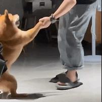 (嘿哈三国神秘关卡17关)三国哈哈哈1到80关攻略：精美图文详尽揭秘，助你轻松通关