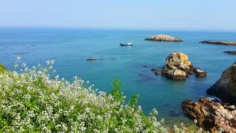 枫叶岛在哪里？是一座美丽岛屿还是传说中的神秘地点？让我们一起探寻这个令人神往的目的地。