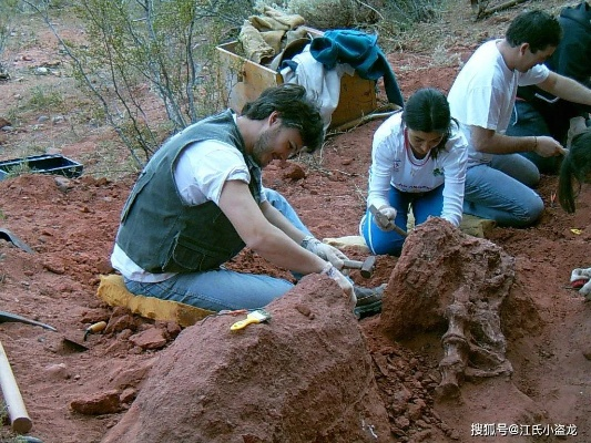 恐龙考古家: 揭秘古生物秘密，科学探寻史前时代的神秘遗迹，无广告纯粹学术研究