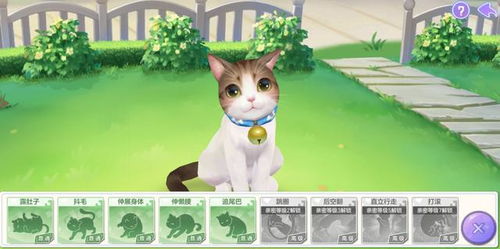 探索乐趣尽在猫咪农场游戏：打造你的梦想庄园，与可爱猫咪共度时光