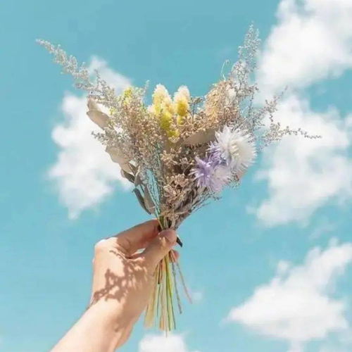 无尽夏少女:追寻阳光与梦想的青春旅程,感受无尽的欢乐与自由 无尽夏少女:追寻阳光与梦想的青春旅程,感受无尽的欢乐与自由