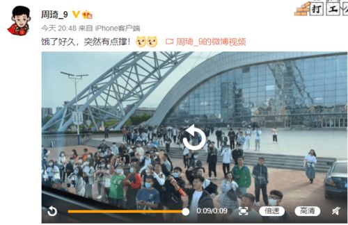 一网打尽所有狗头：详细解读《狗头大作战》中各种狗头的形象及意义