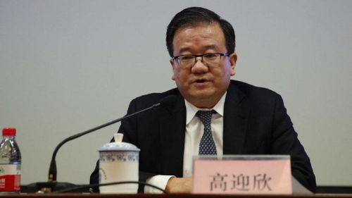 (民生银行高迎欣简介)民生银行董事长高迎欣薪酬再降，体现责任担当与风险防控。