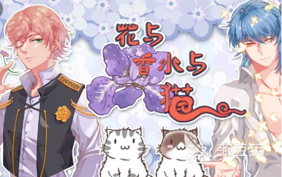 花与香水与猫兑换码在哪里使用？了解它们在哪些领域可以发挥作用