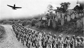 (远征军是哪支部队)远征军历史简介：勇往直前，征战不息，探寻未知领域的壮举