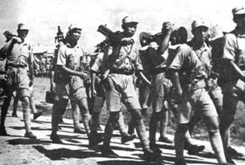 (远征军是哪支部队)远征军历史简介：勇往直前，征战不息，探寻未知领域的壮举