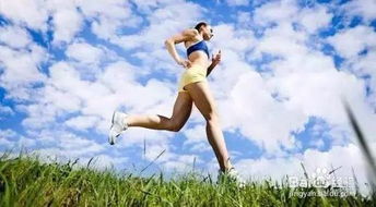 小鸡跑步：探索农场生活中勤奋的小生灵如何通过奔跑展现出生命的活力和无限可能性