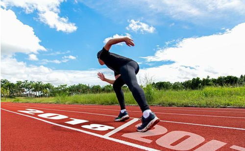 小鸡跑步：探索农场生活中勤奋的小生灵如何通过奔跑展现出生命的活力和无限可能性