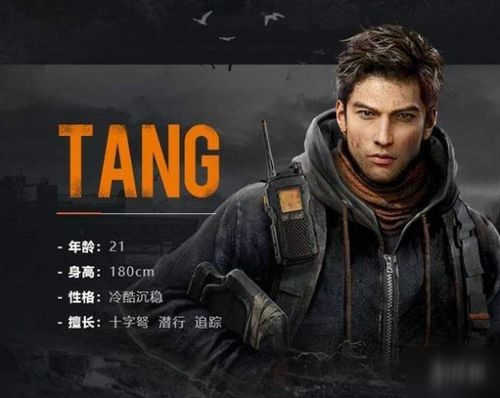 (沈阳黎明 代号)神秘而致命：揭秘沈阳黎明代号的真相