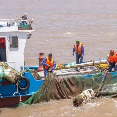 (战争与秩序军团突击第八关困难)战争与秩序军团突击13关噩梦：残酷的战斗与无尽的挑战等待着你