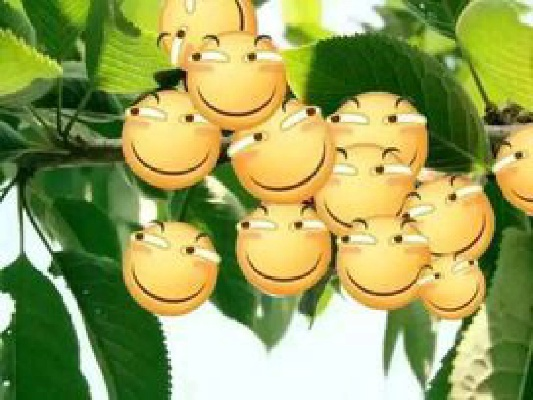 (滑稽工厂表情包)探秘滑稽工厂：幽默笑料背后的制造之秘