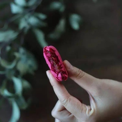 吃一口拉一坨折相思：从食欲到排泄，生死相随的生命律动