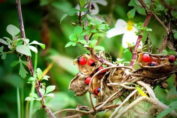 吃一口拉一坨折相思：从食欲到排泄，生死相随的生命律动
