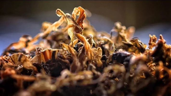 吃一口拉一坨折相思：从食欲到排泄，生死相随的生命律动