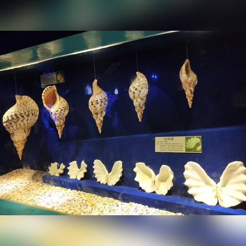 (深渊呼唤怎么玩)深渊呼唤号角：唤醒沉睡的力量，开启灾难之门