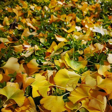 (万世??)进入万世镜游戏中奖666，幸运者如梦似幻，飘飘欲仙！