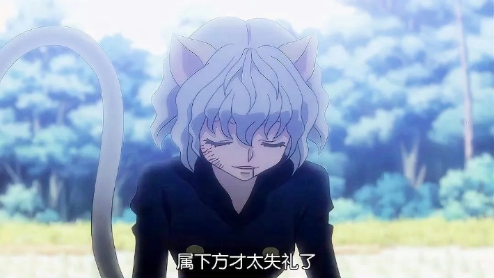 全职猎人猫女：超强猎人技能加上半兽人魅力，敬请期待她的神秘身世揭晓！