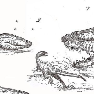 神奇自然现象重塑历史，霸王龙大肚子要生了：探寻史前生命繁衍之谜