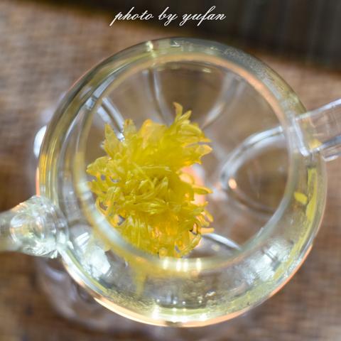 (本茶纲目是什么公司)本茶纲目关服了吗？探讨茶文化发展现状及未来发展方向