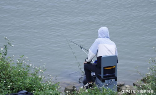 专注垂钓爱好，提供全方位服务：钓鱼助手钓鱼派独家技巧与装备指南分享