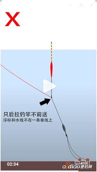 专注垂钓爱好，提供全方位服务：钓鱼助手钓鱼派独家技巧与装备指南分享