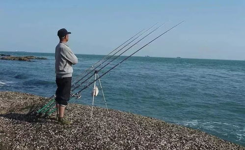 专注垂钓爱好，提供全方位服务：钓鱼助手钓鱼派独家技巧与装备指南分享