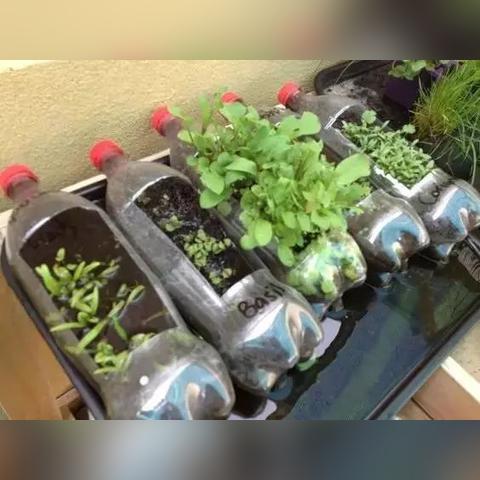 (刀空破解版上线就送满v无限元宝)探索4399游戏刀空的无限可能：从玩法攻略到玩家心得分享