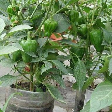 (刀空破解版上线就送满v无限元宝)探索4399游戏刀空的无限可能：从玩法攻略到玩家心得分享