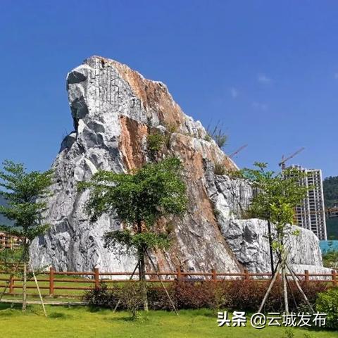 (401代码)401是谁代号？揭秘401代号背后的故事