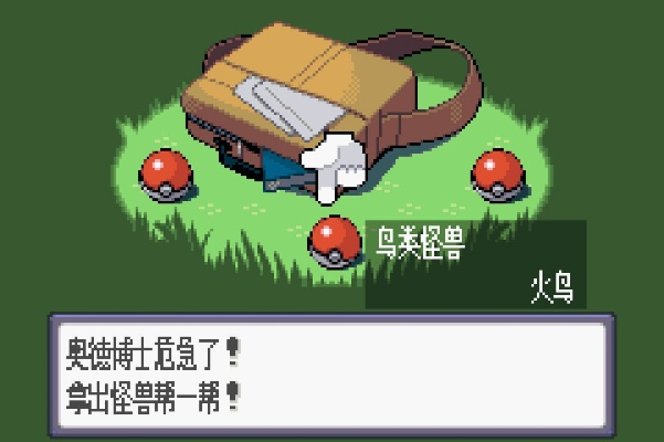 (口袋妖怪白金光能买神奇糖果吗)探秘口袋妖怪白金光神奇糖果的奇幻力量与秘密效果