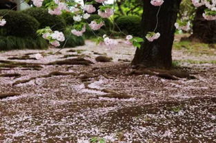 (在阳光明媚的午后作文)在阳光明媚的午后,悠闲惬意的时光 (在阳光明媚的午后作文)在阳光明媚的午后,悠闲惬意的时光