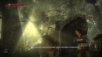 狩魔猎人十大小说排名：探索奇幻世界，揭秘最强猎人的传奇征程