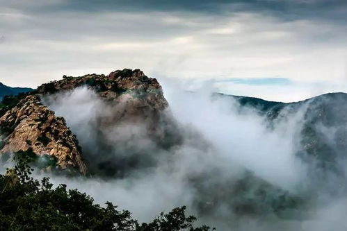 (九牧之州)探索自然之美，畅游"九牧之野"游戏，感受大自然的神奇魅力